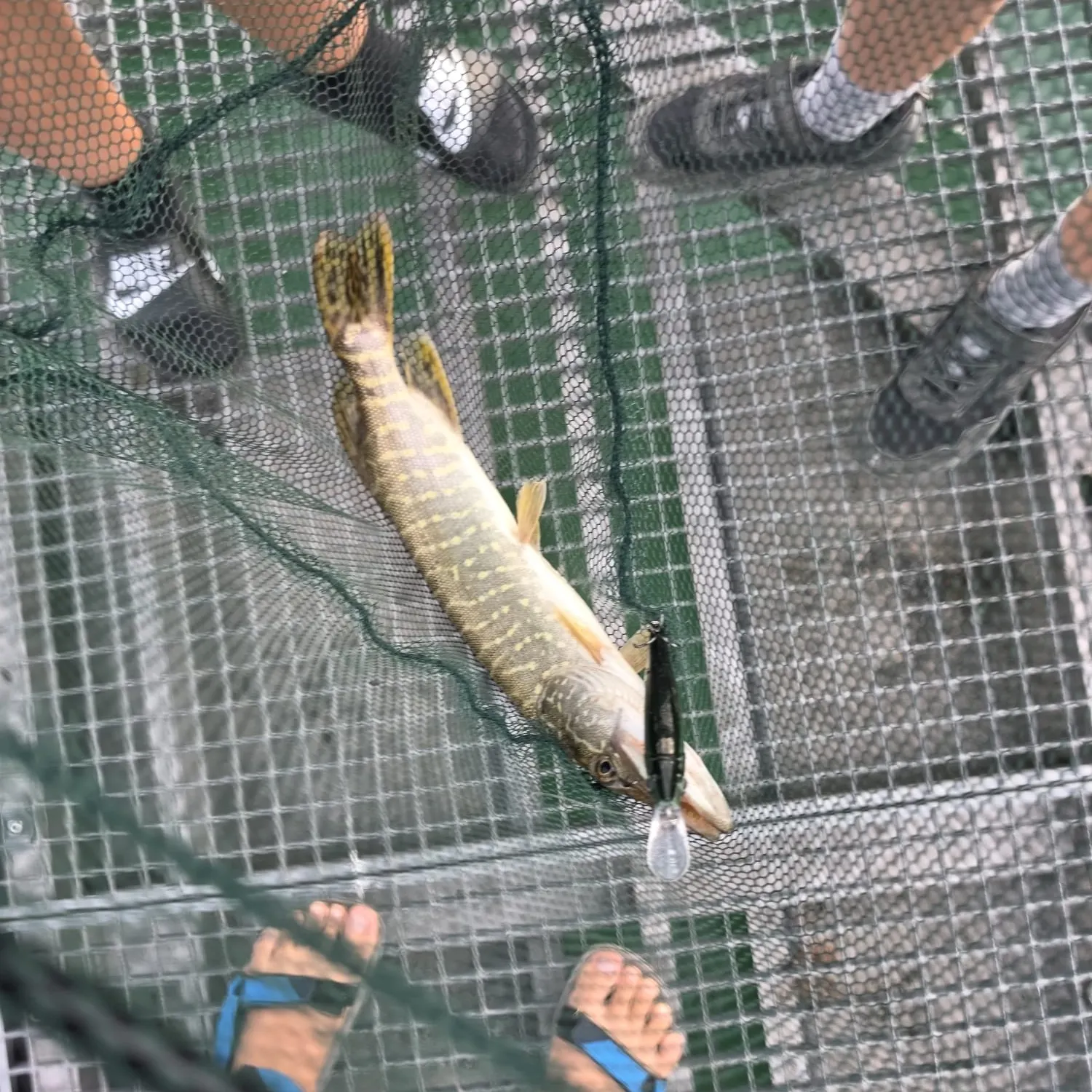 catch