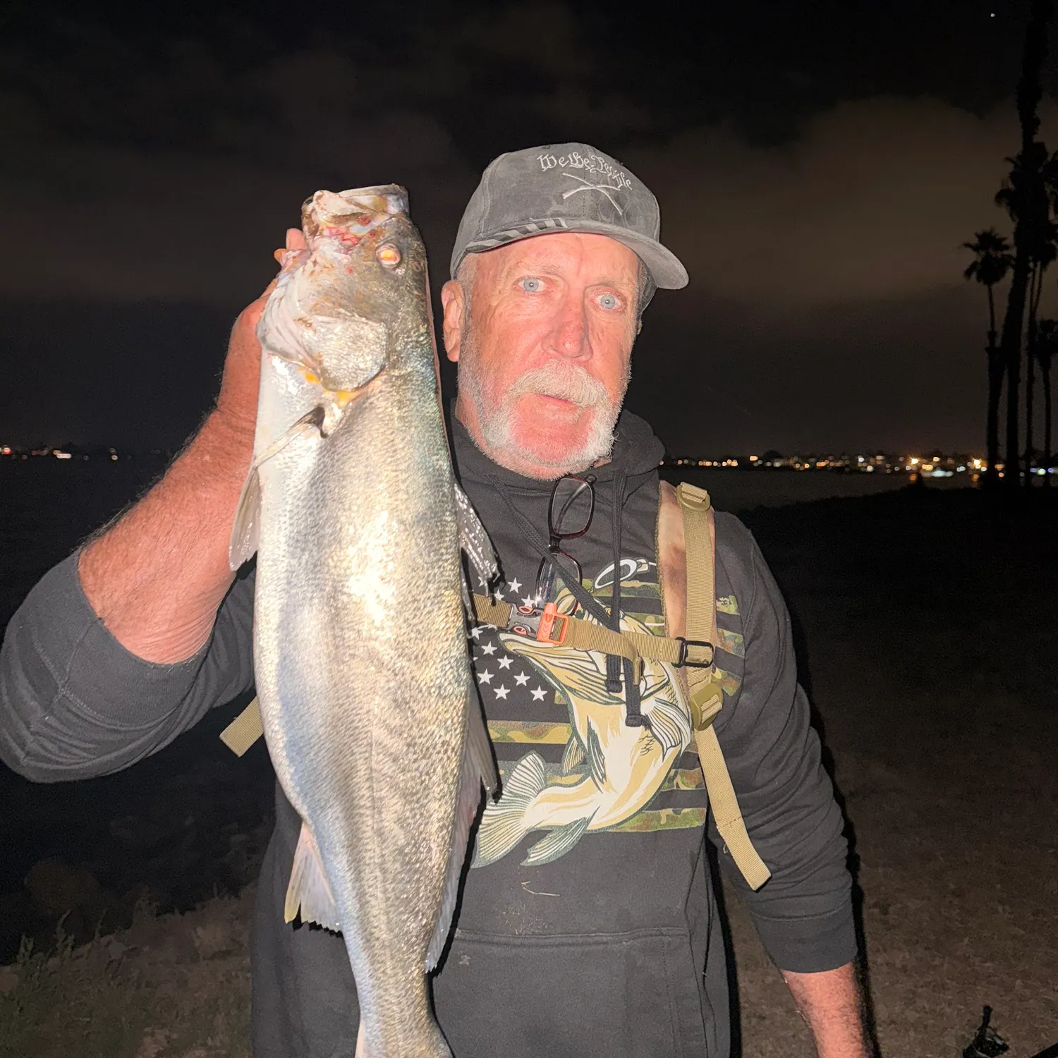 The most recent Shortfin corvina catches on Fishbrain