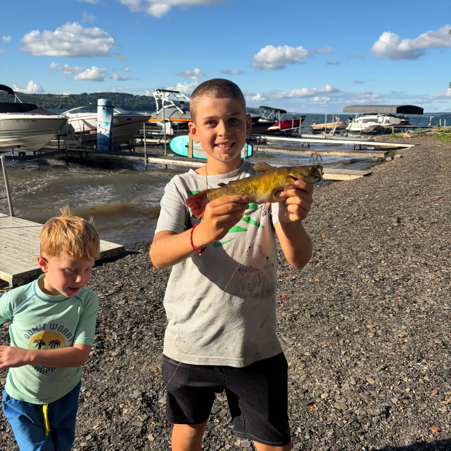 Yellow bullhead caught on Fishbrain