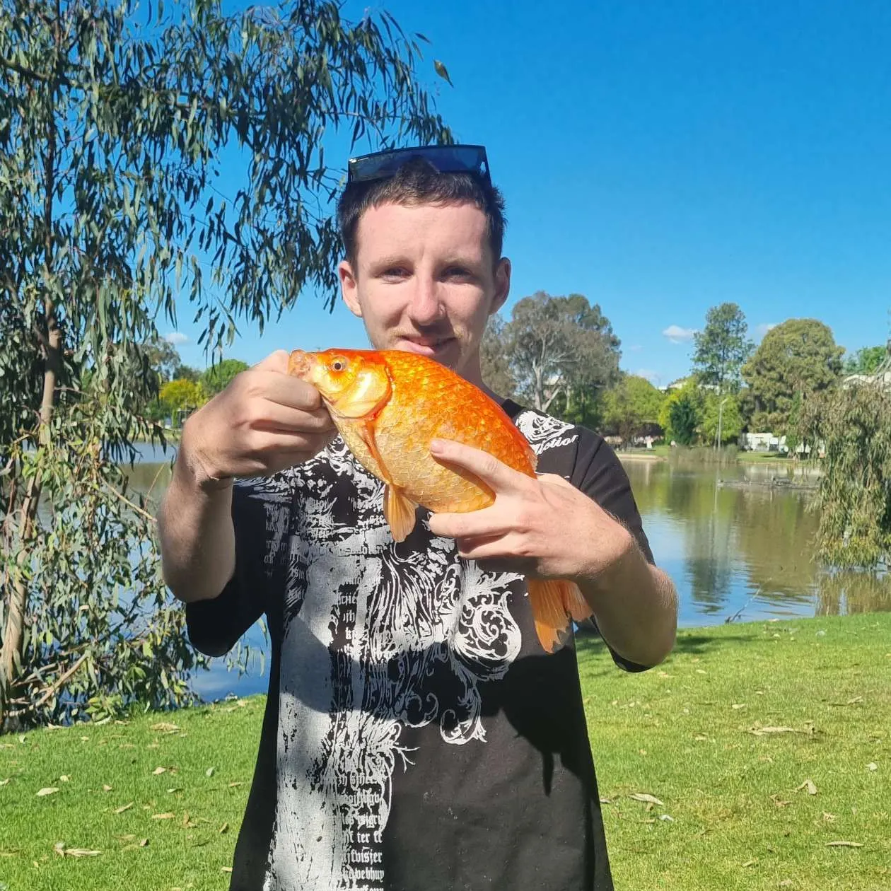 Goldfish caught on Fishbrain