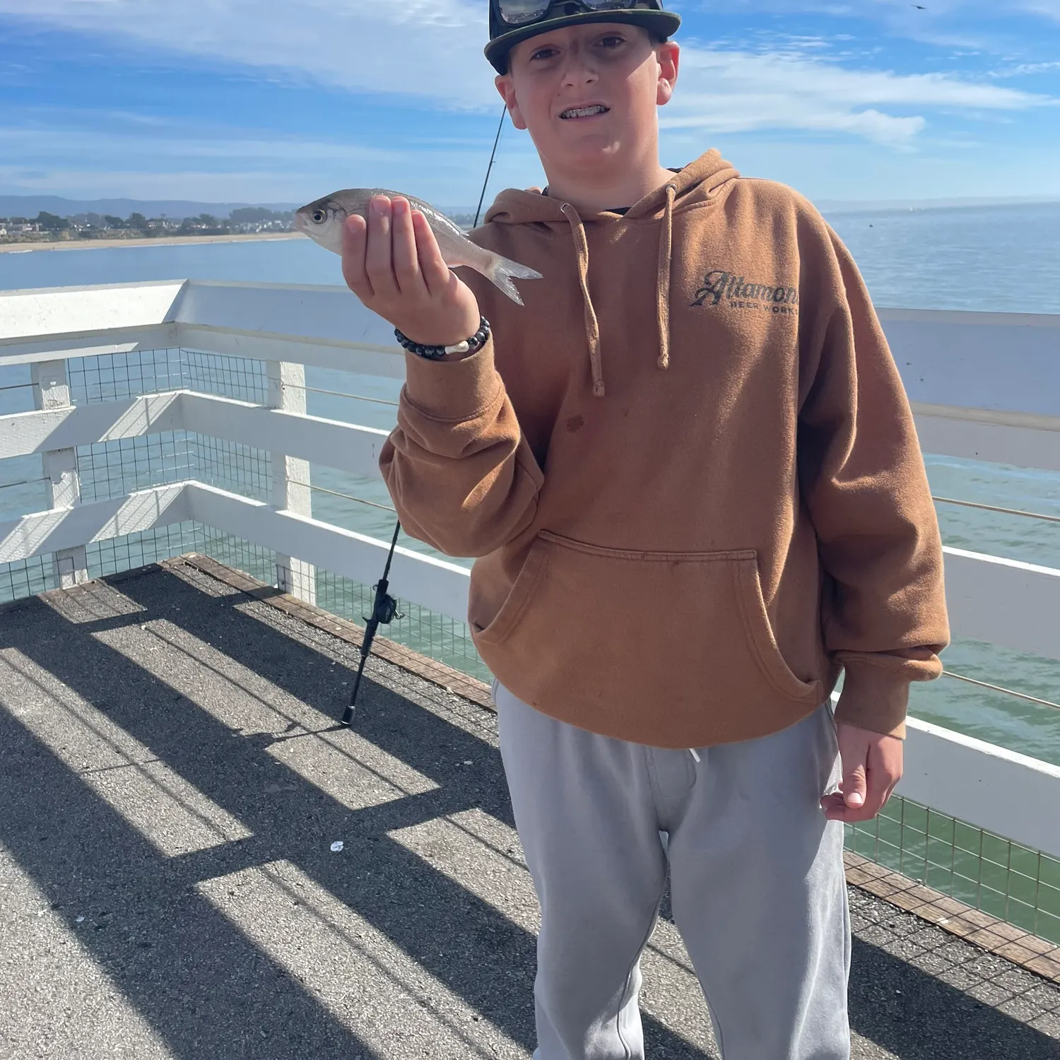 The most recent Silver surfperch catches on Fishbrain