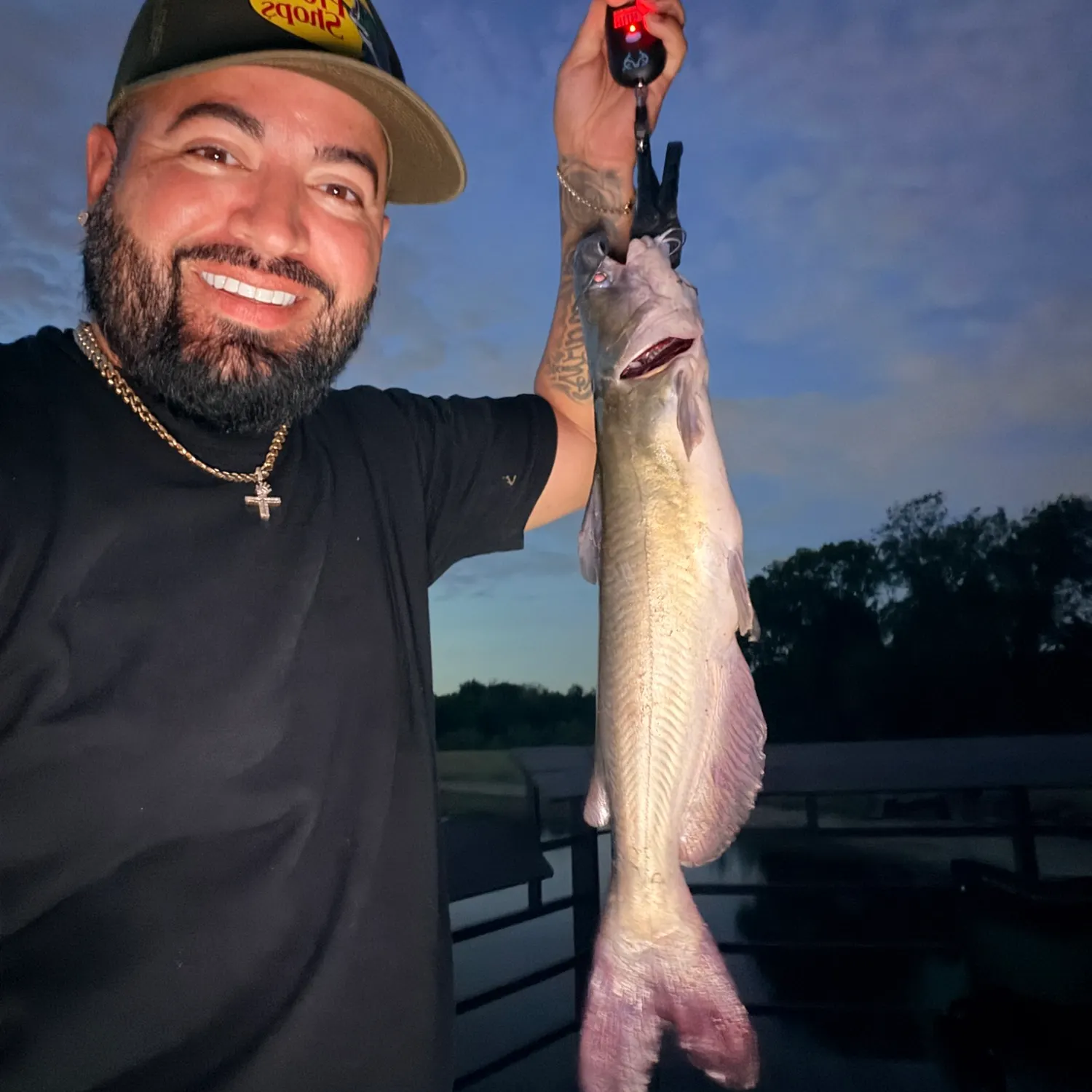 Channel catfish caught on Fishbrain