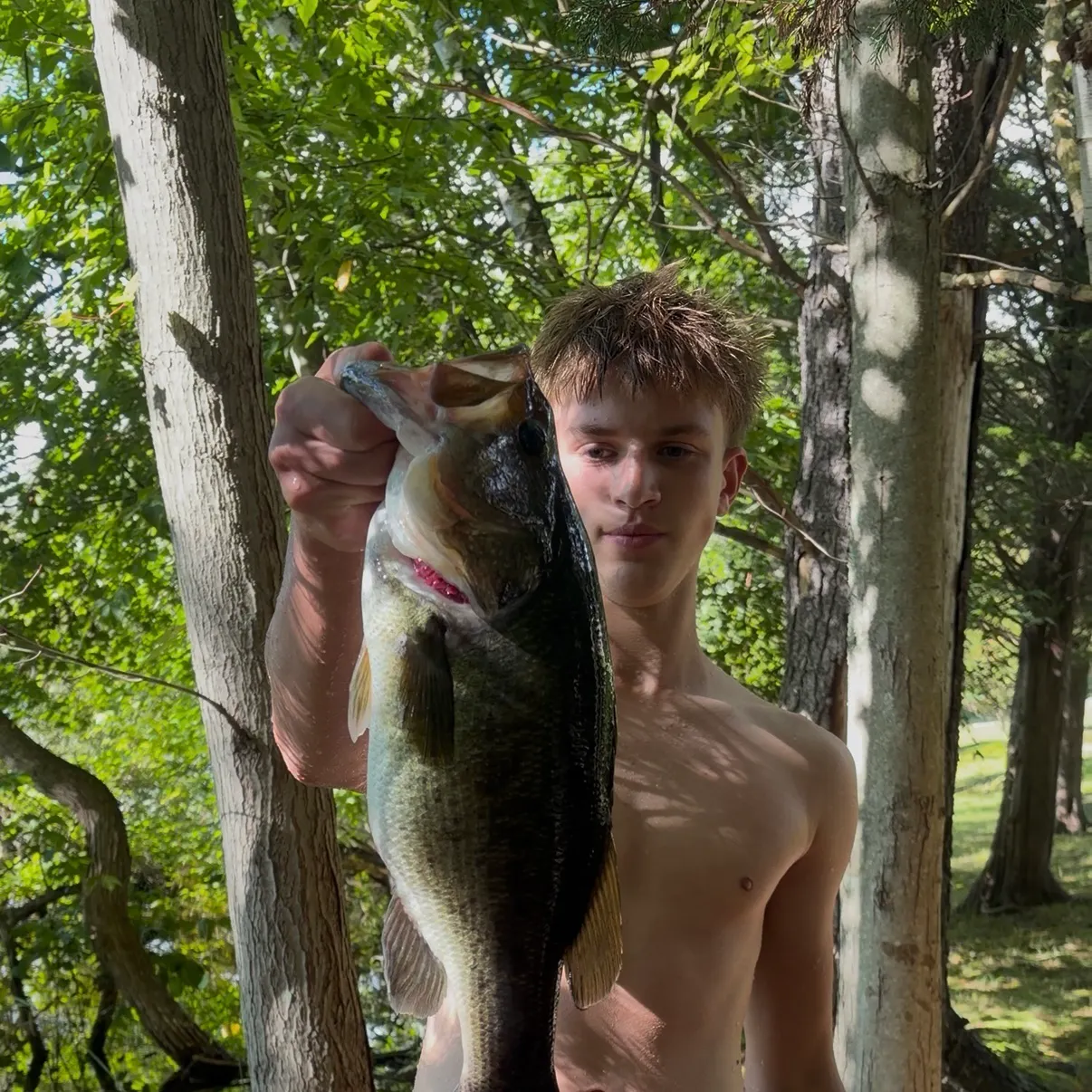 Largemouth bass caught on Fishbrain