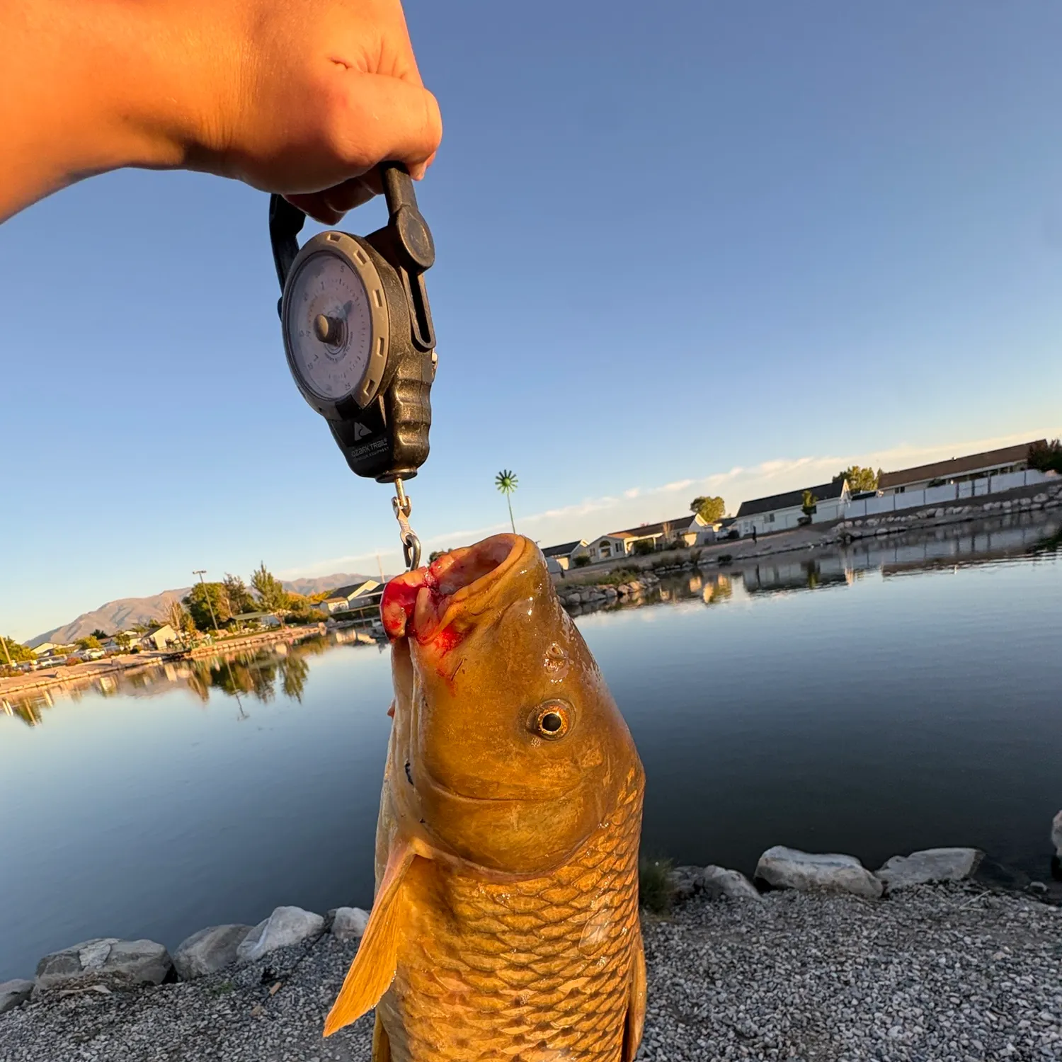 catch