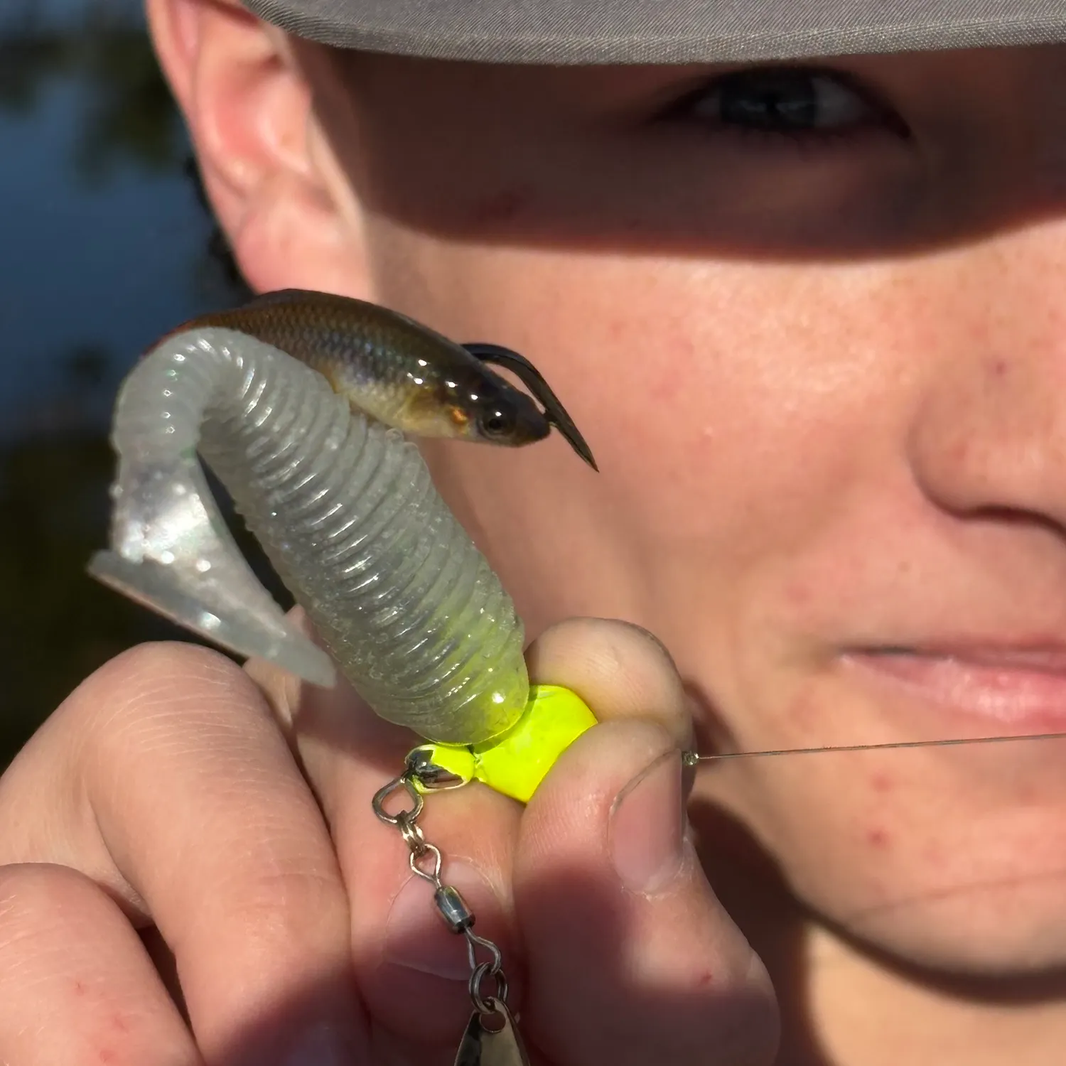 The most recent Fathead minnow catches on Fishbrain