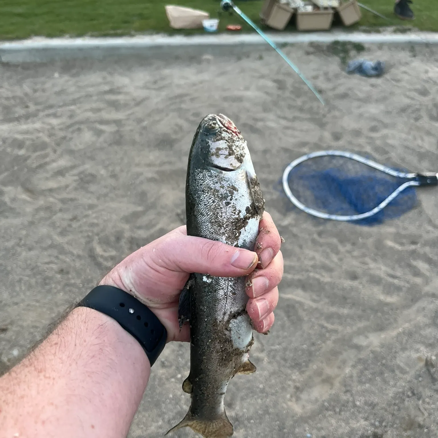 catch