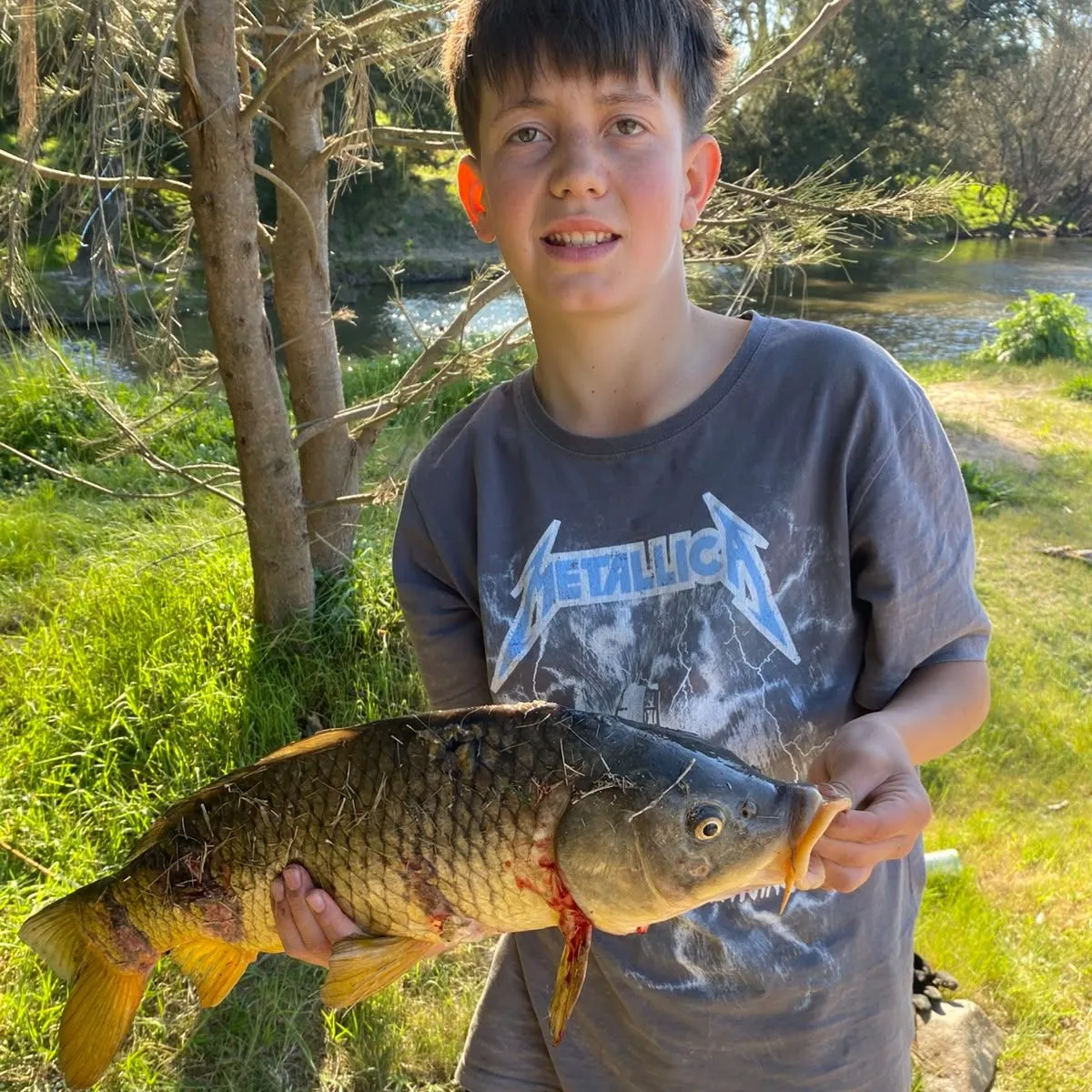 Common carp caught on Fishbrain