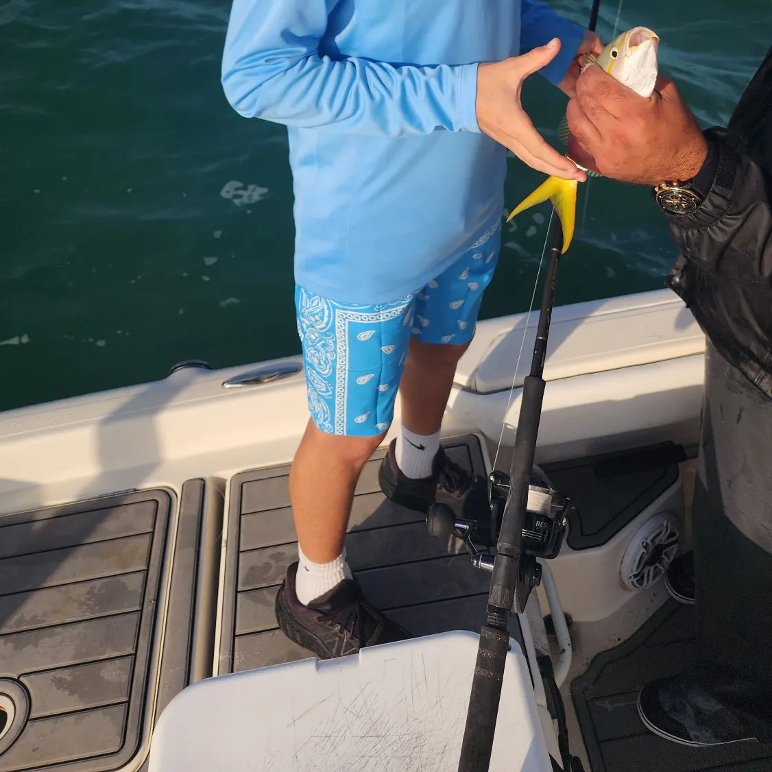 The most recent Yellow jack catches on Fishbrain