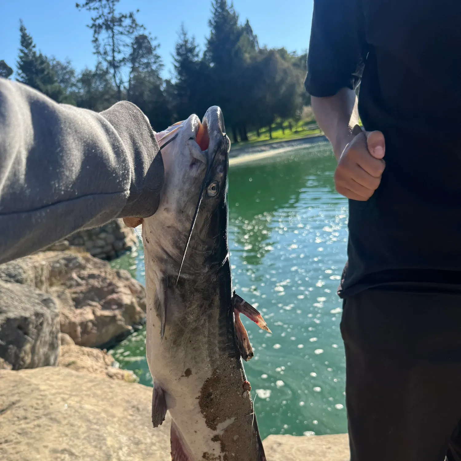 catch