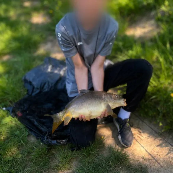 The most recent Leather carp catches on Fishbrain