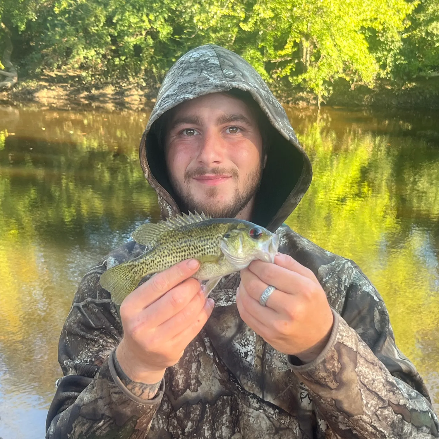 Rock bass caught on Fishbrain