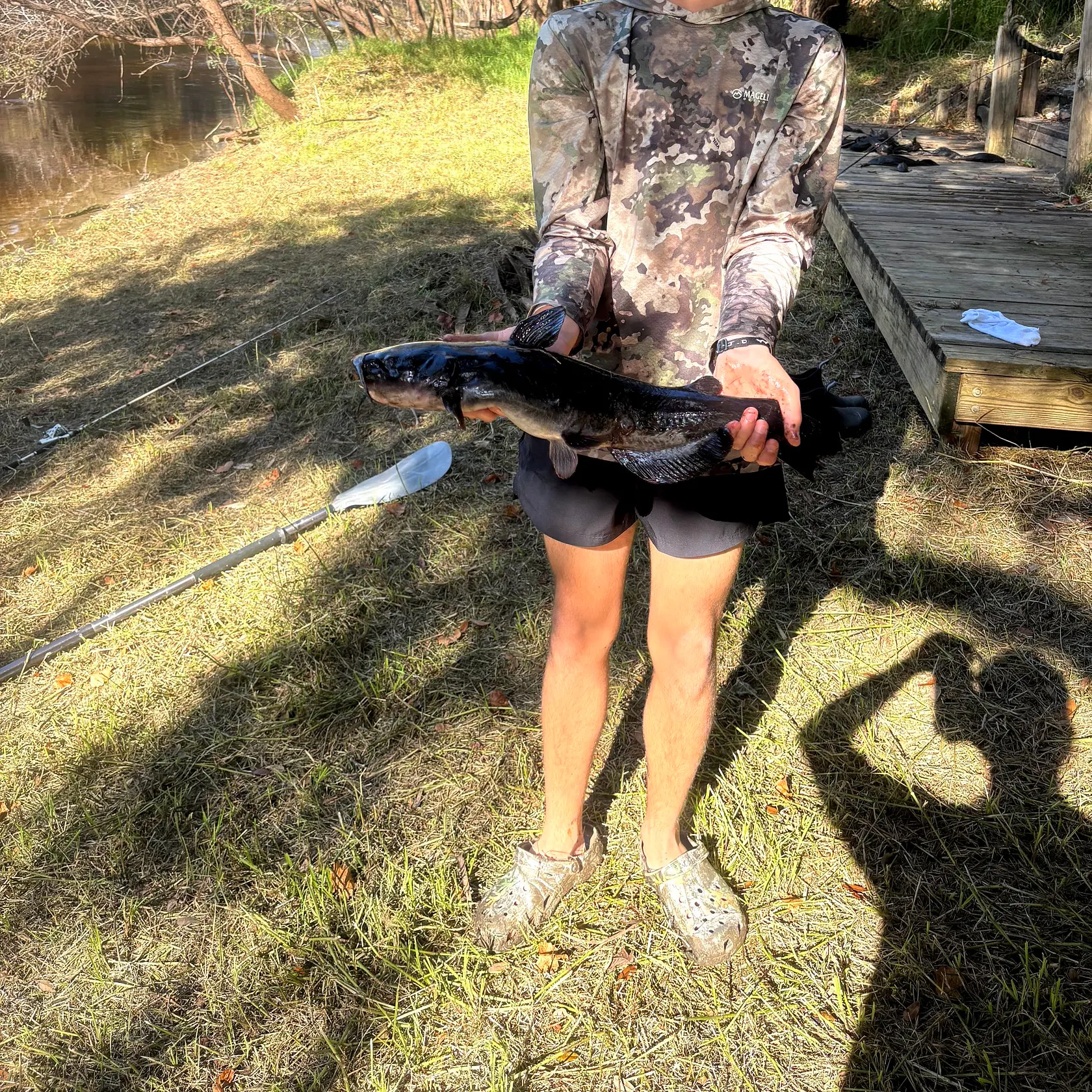 The most recent Blue catfish catches on Fishbrain