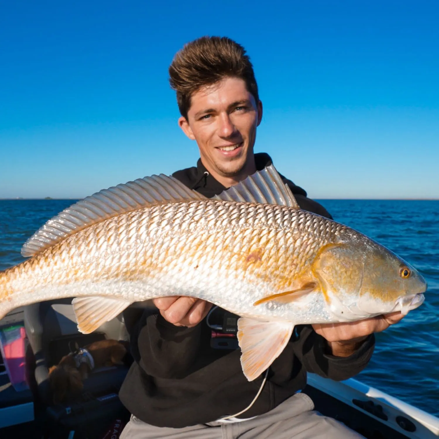 The most popular recent Red drum catch on Fishbrain