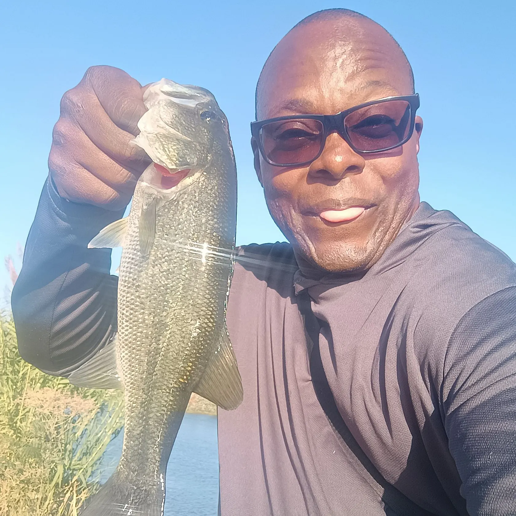 Largemouth bass caught on Fishbrain