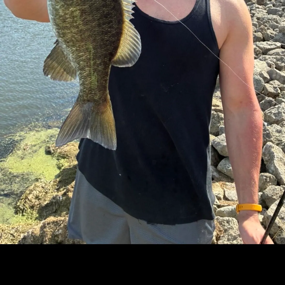 Smallmouth bass caught on Fishbrain