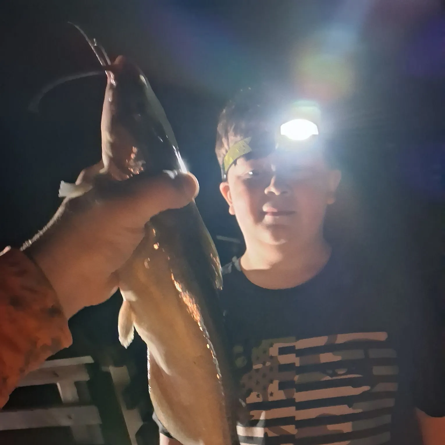 Channel catfish caught on Fishbrain