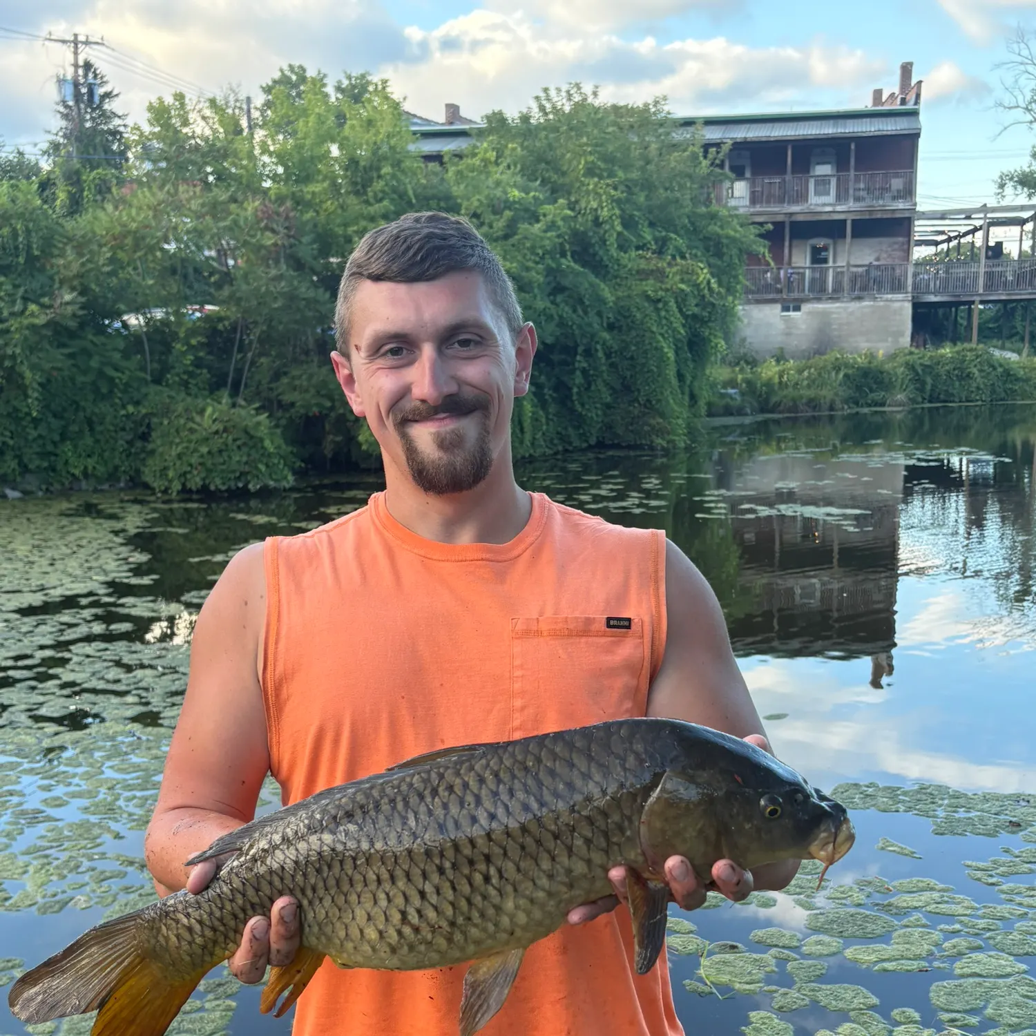 Common carp caught on Fishbrain