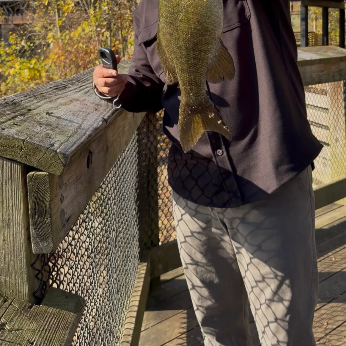 The most recent Smallmouth bass catches on Fishbrain