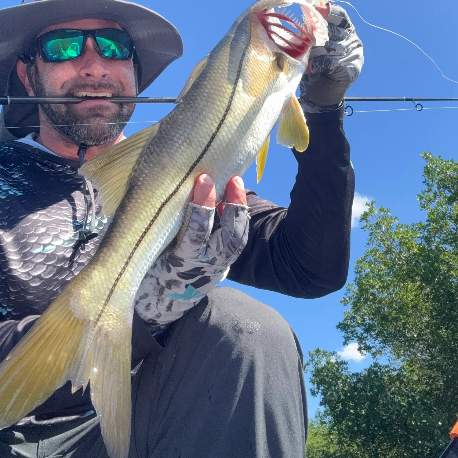 Common snook caught on Fishbrain