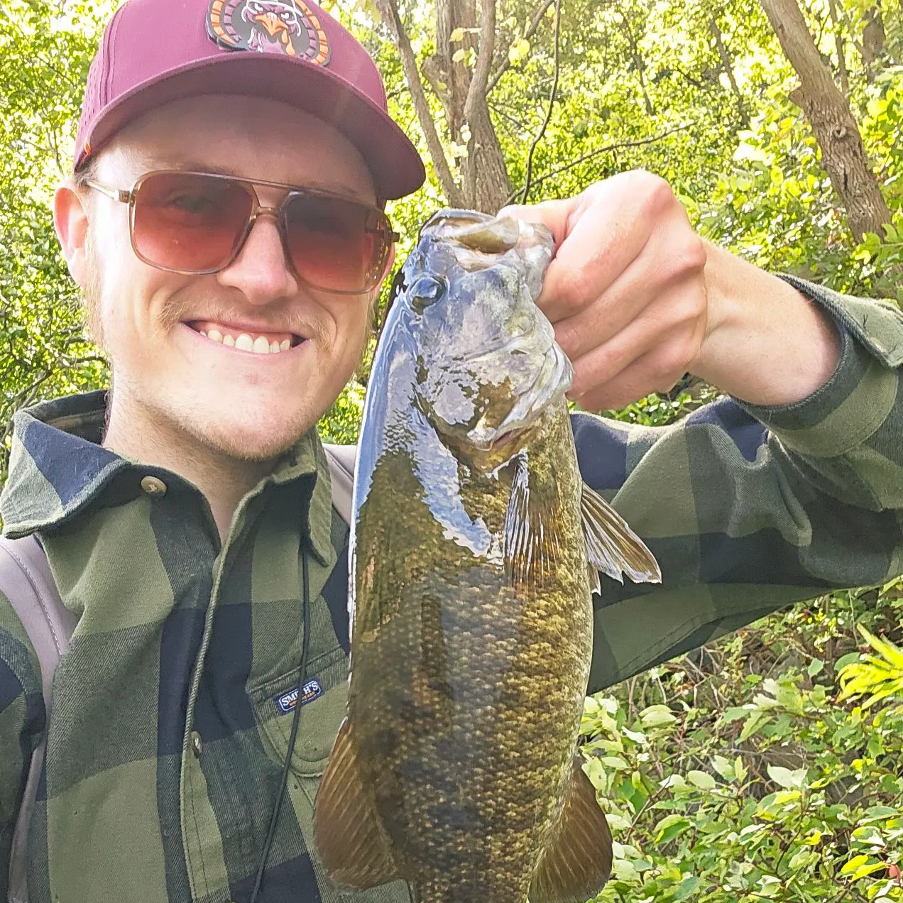 Smallmouth bass caught on Fishbrain