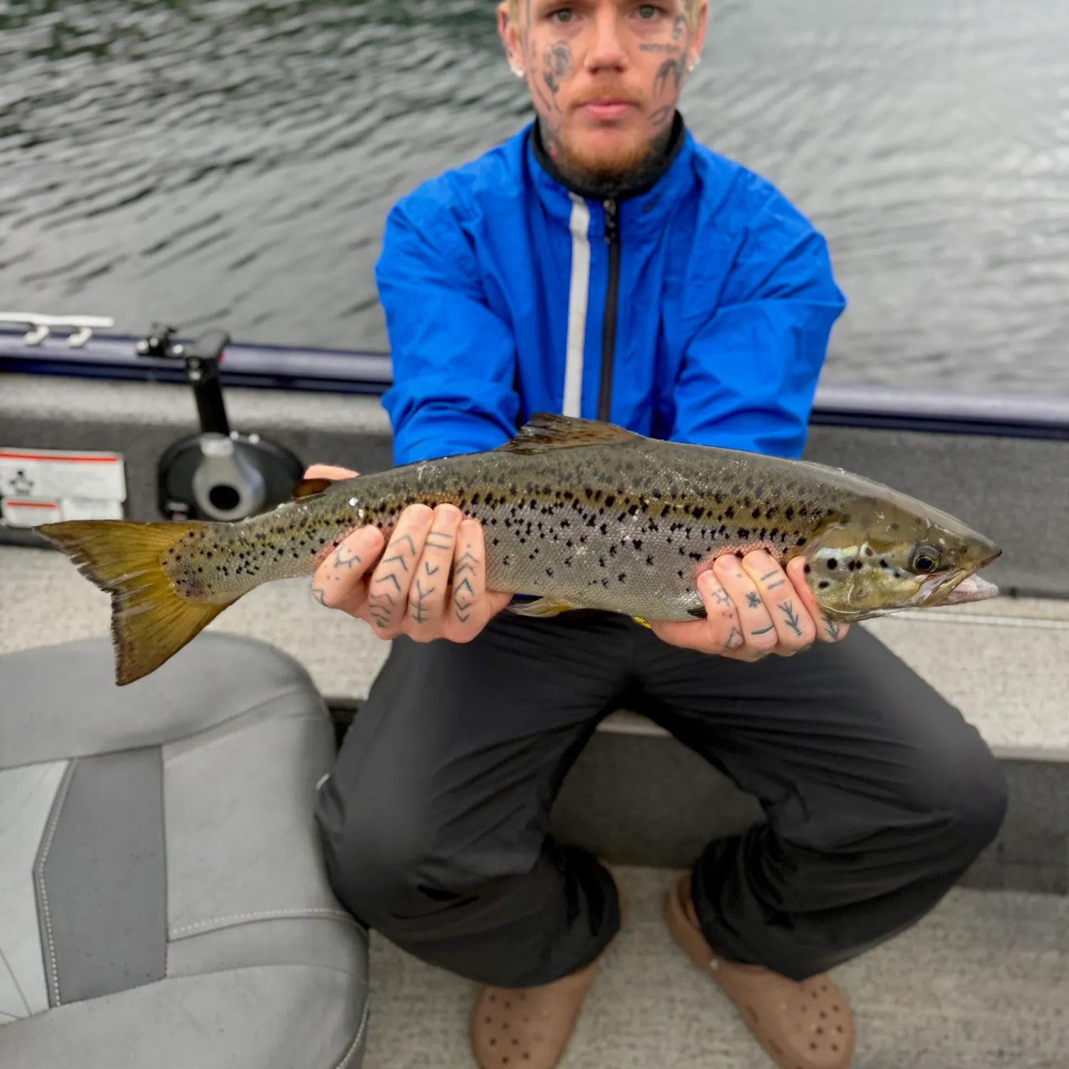 The most recent Landlocked atlantic salmon catches on Fishbrain