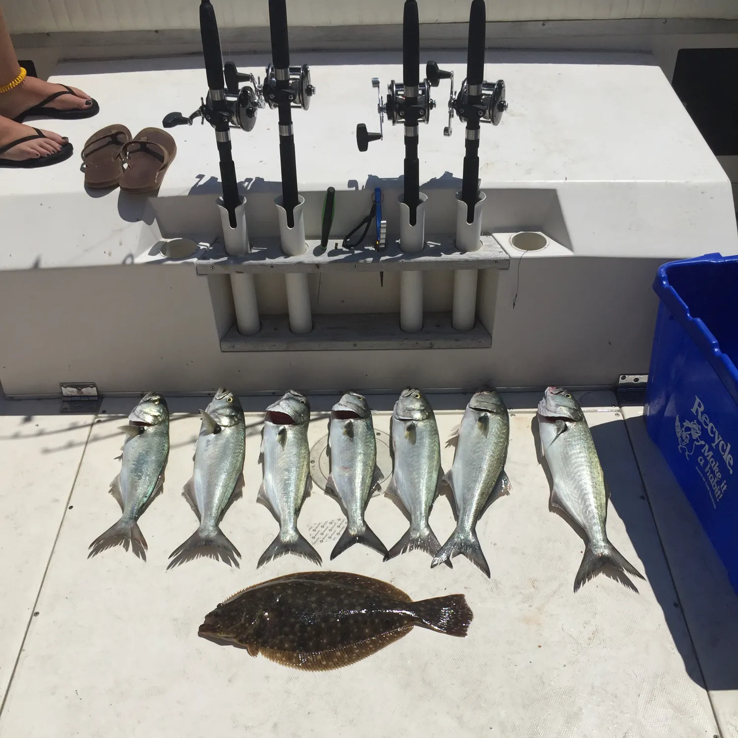 recently logged catches