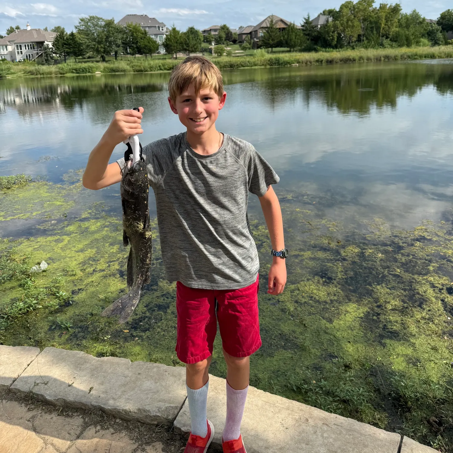 Channel catfish caught on Fishbrain