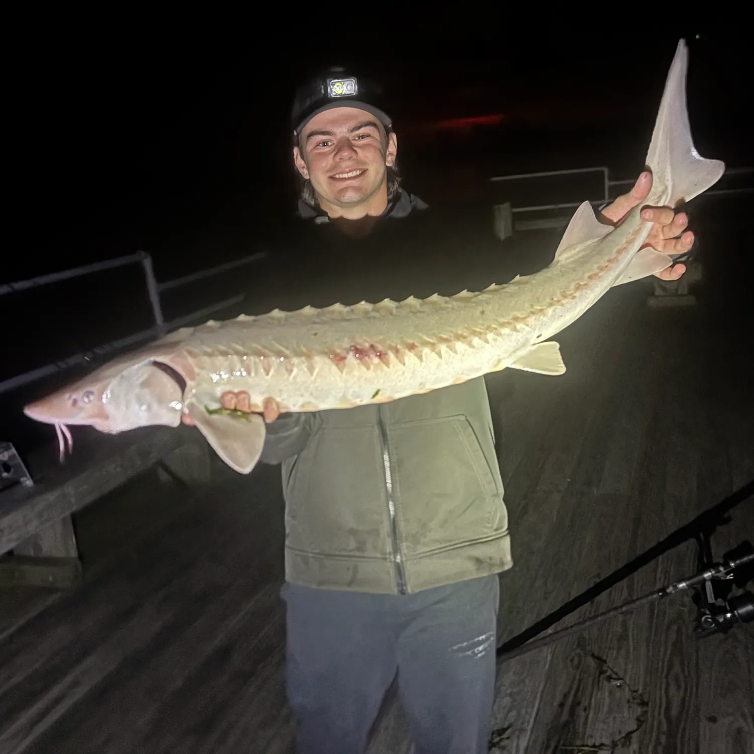 Lake sturgeon caught on Fishbrain