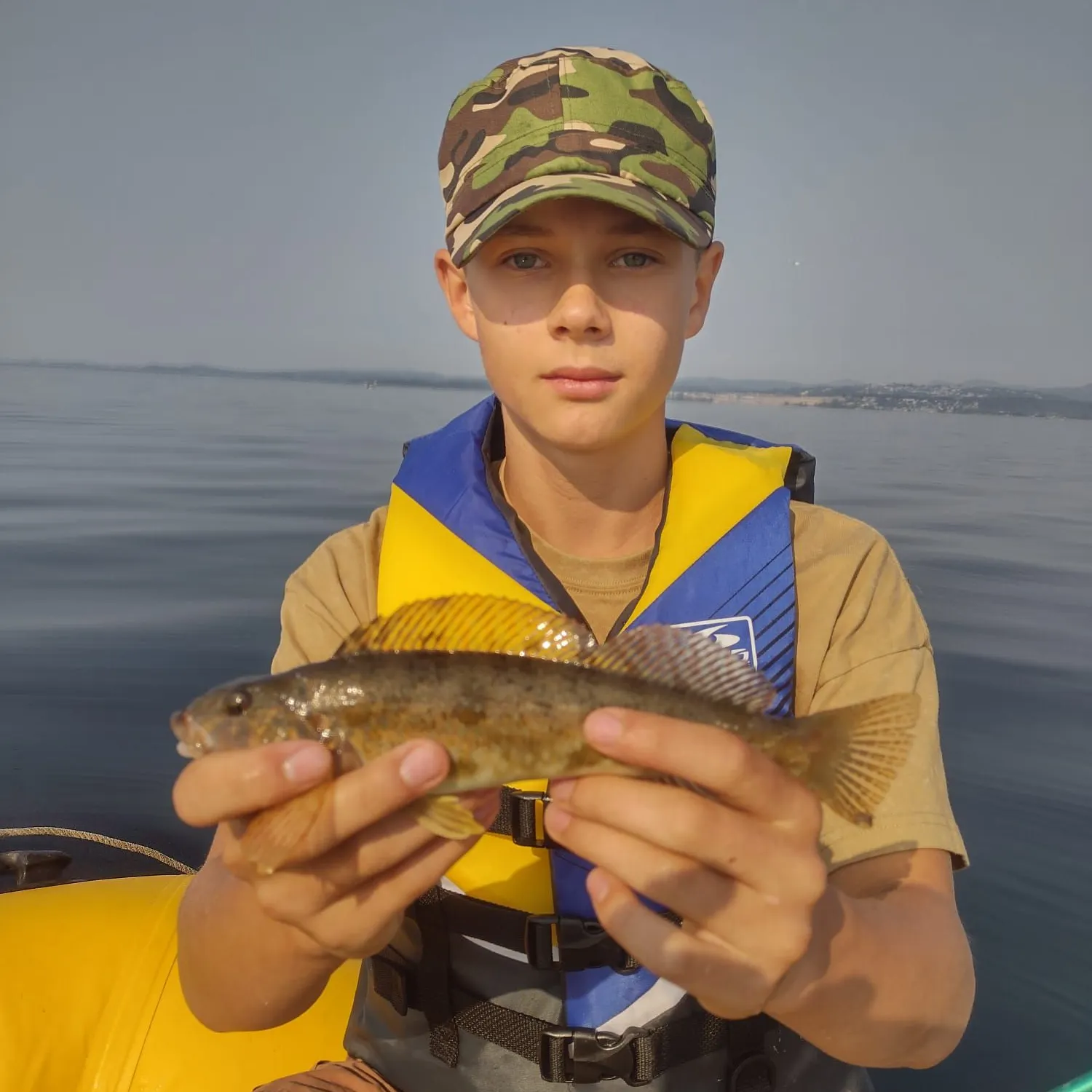The most recent Whitespotted greenling catches on Fishbrain