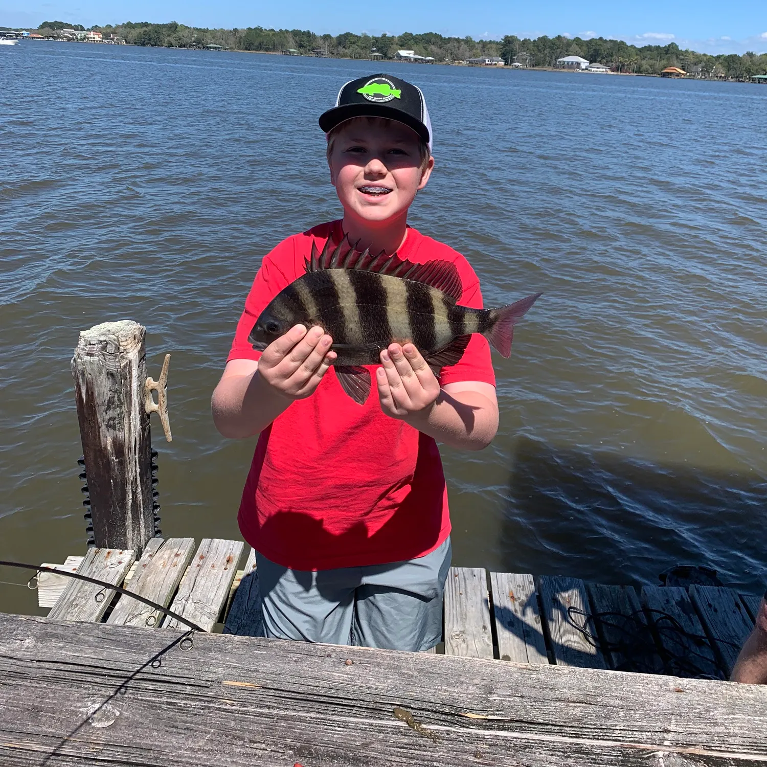 The most recent Sheepshead catches on Fishbrain
