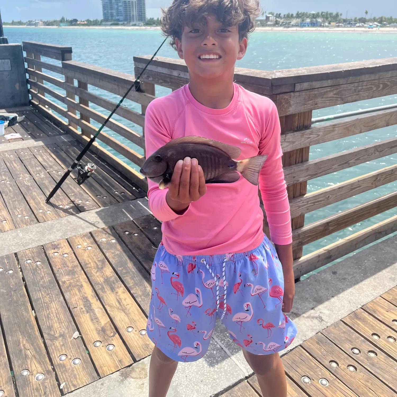 The most recent Doctorfish catches on Fishbrain