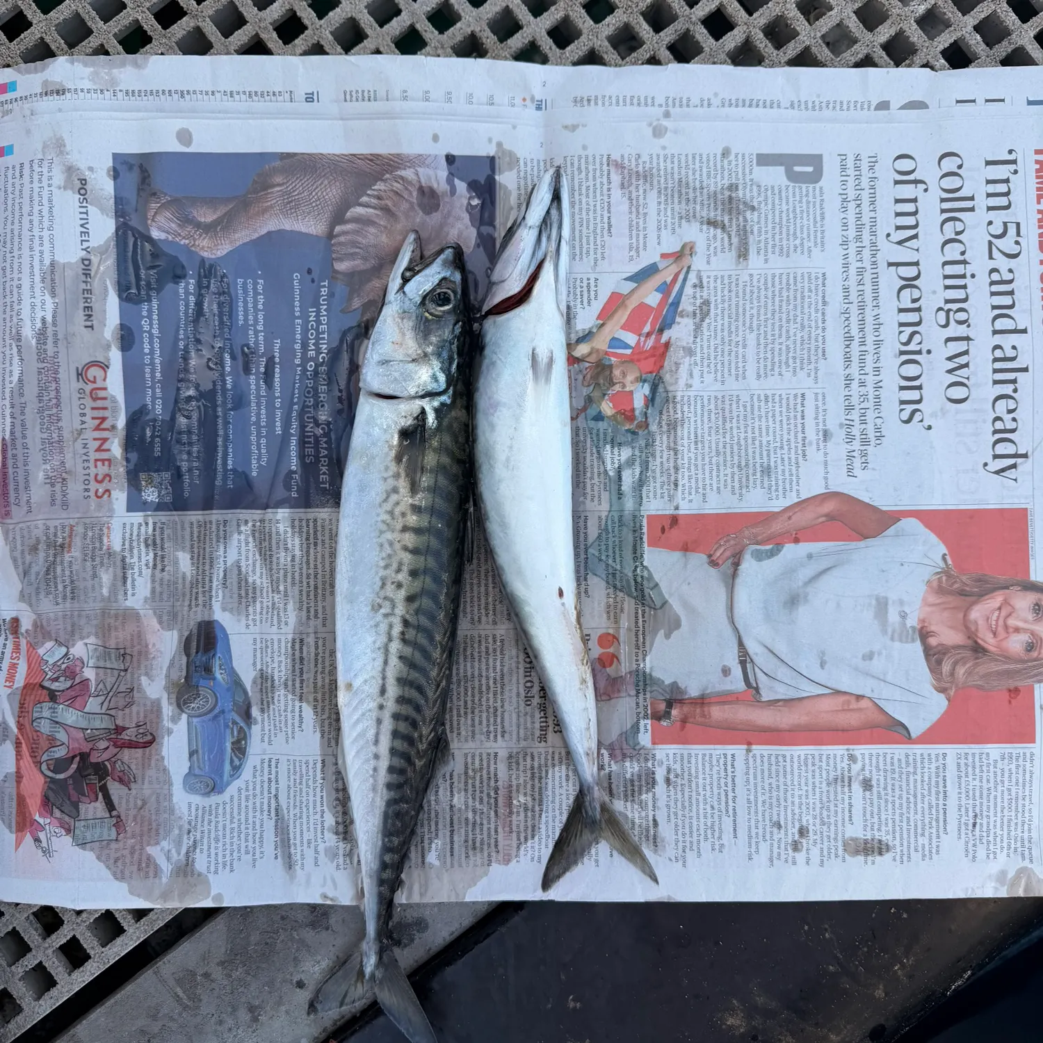 recently logged catches