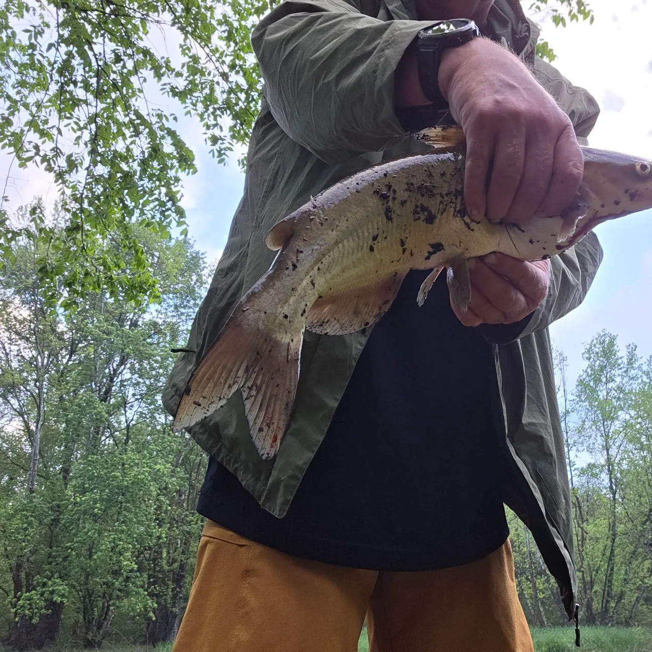 catch