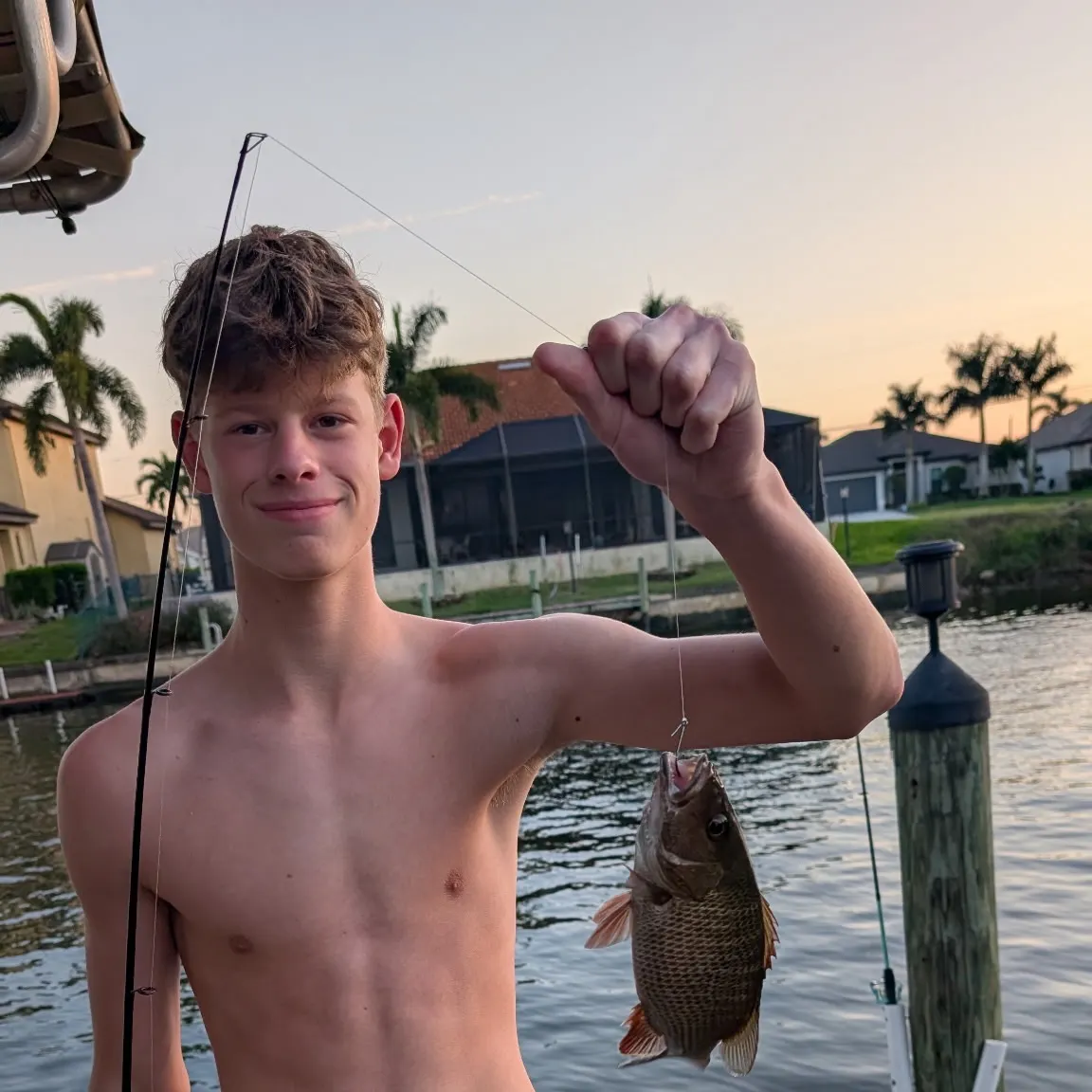 The most recent Mangrove snapper catches on Fishbrain