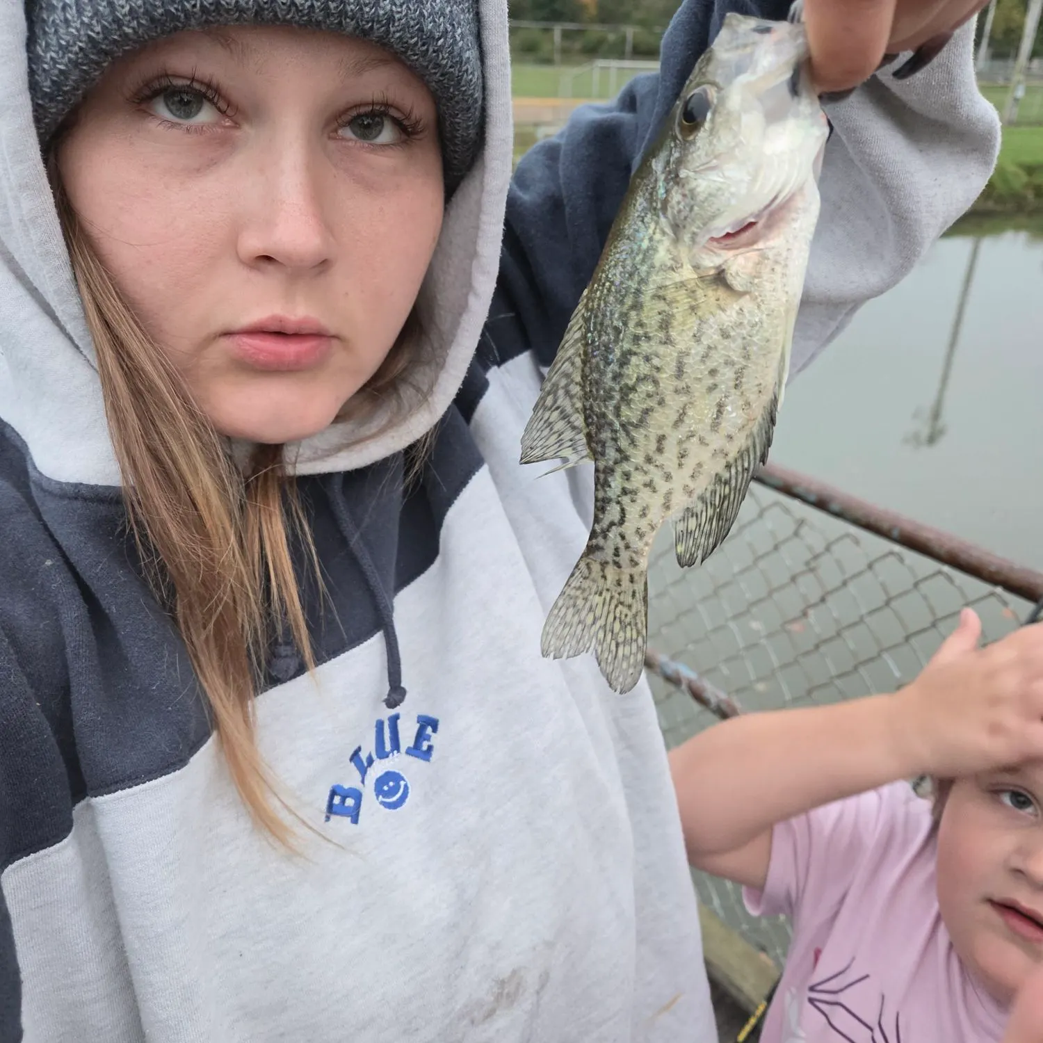 Black crappie caught on Fishbrain