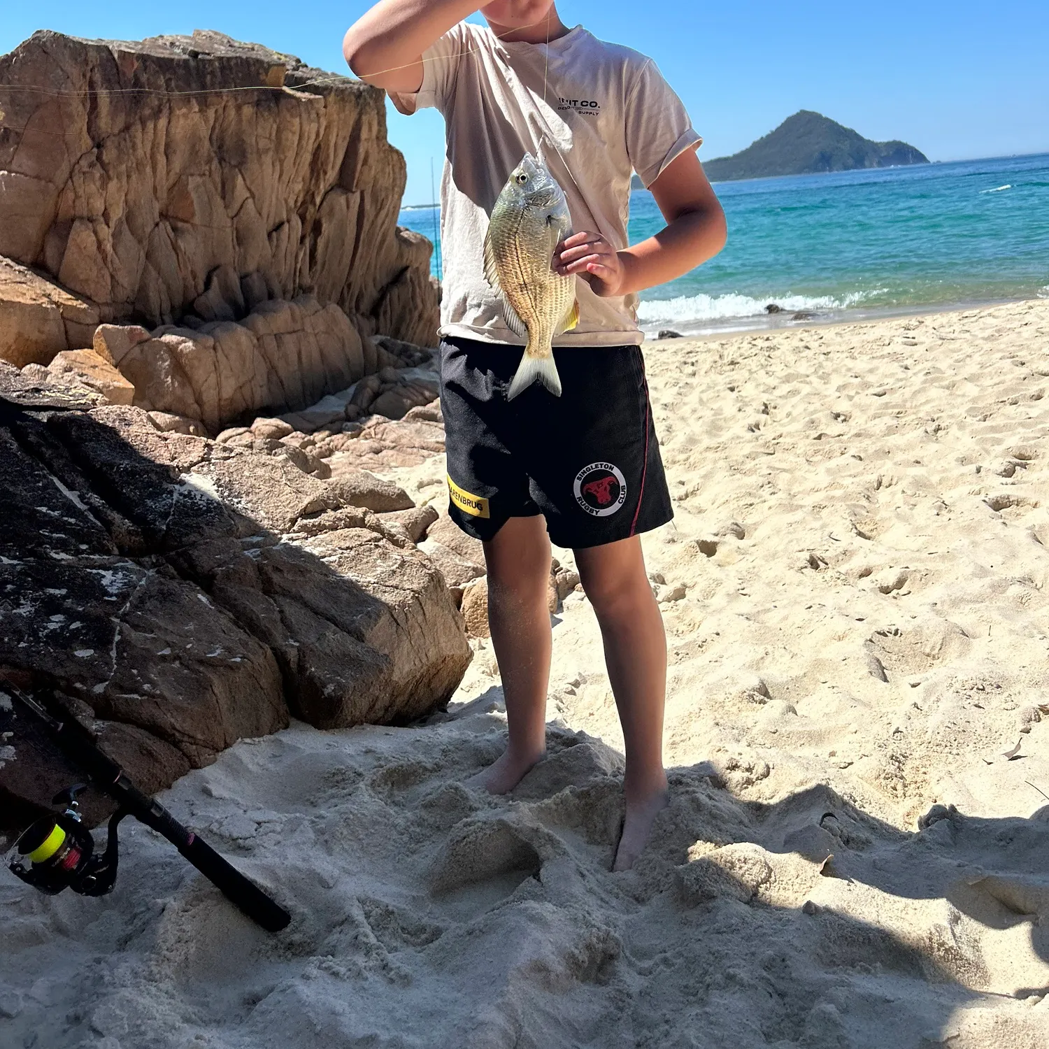 Southern black bream caught on Fishbrain