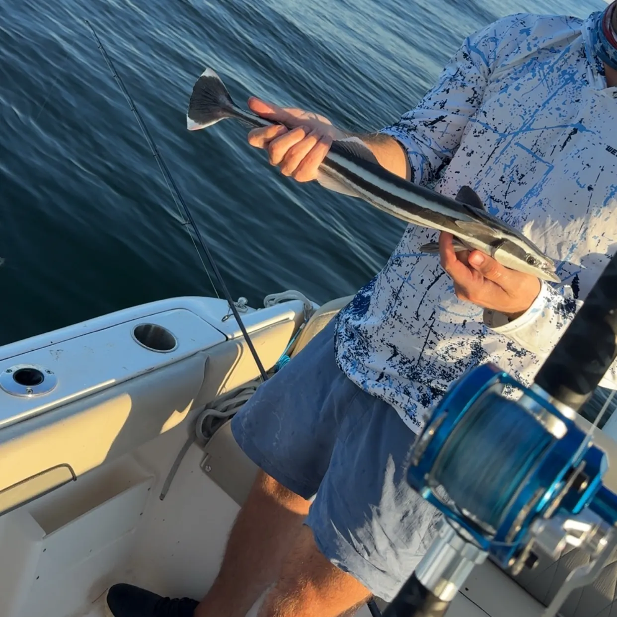 The most recent Common remora catches on Fishbrain
