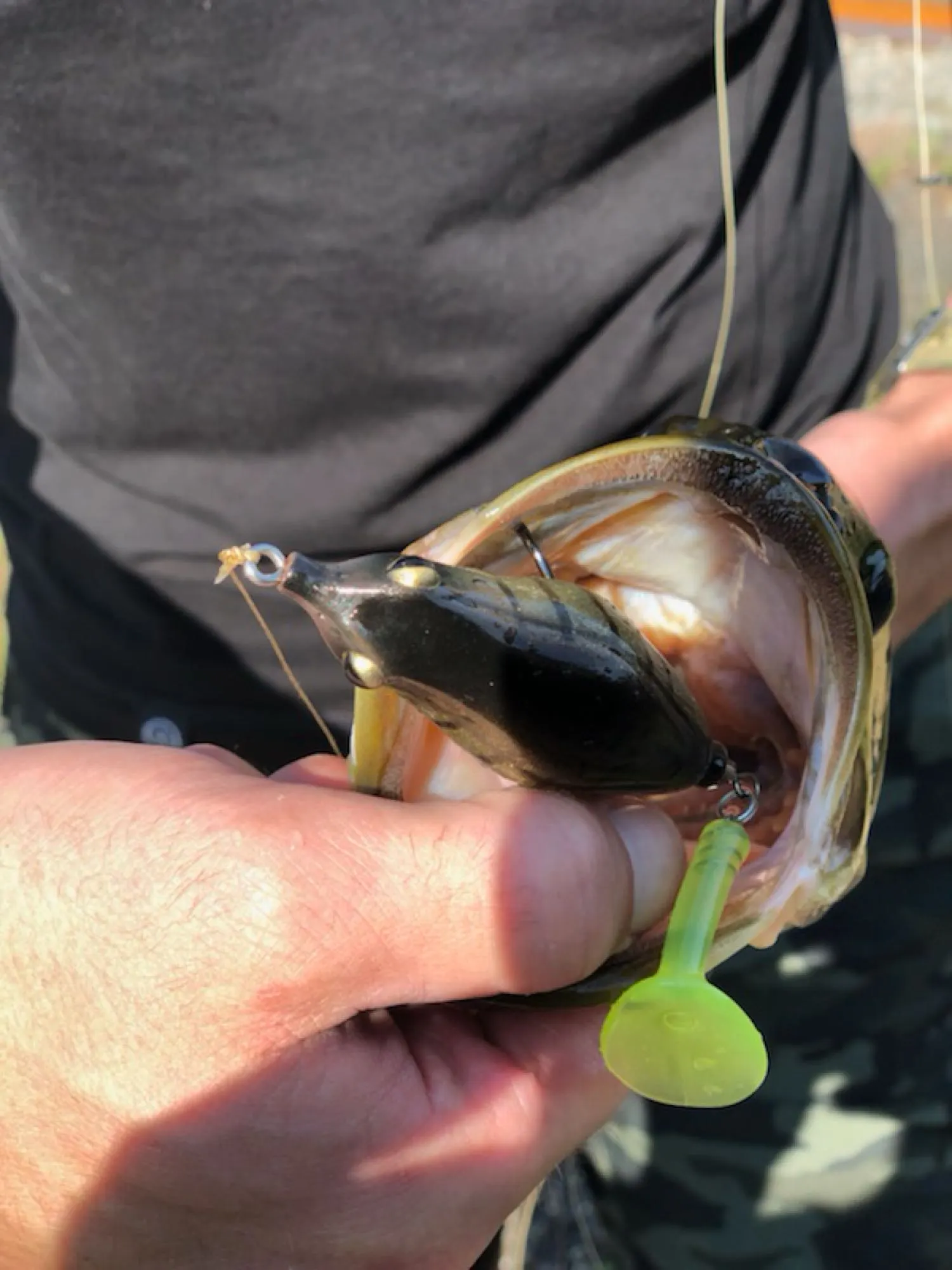 Post image from CARPYCLIFF