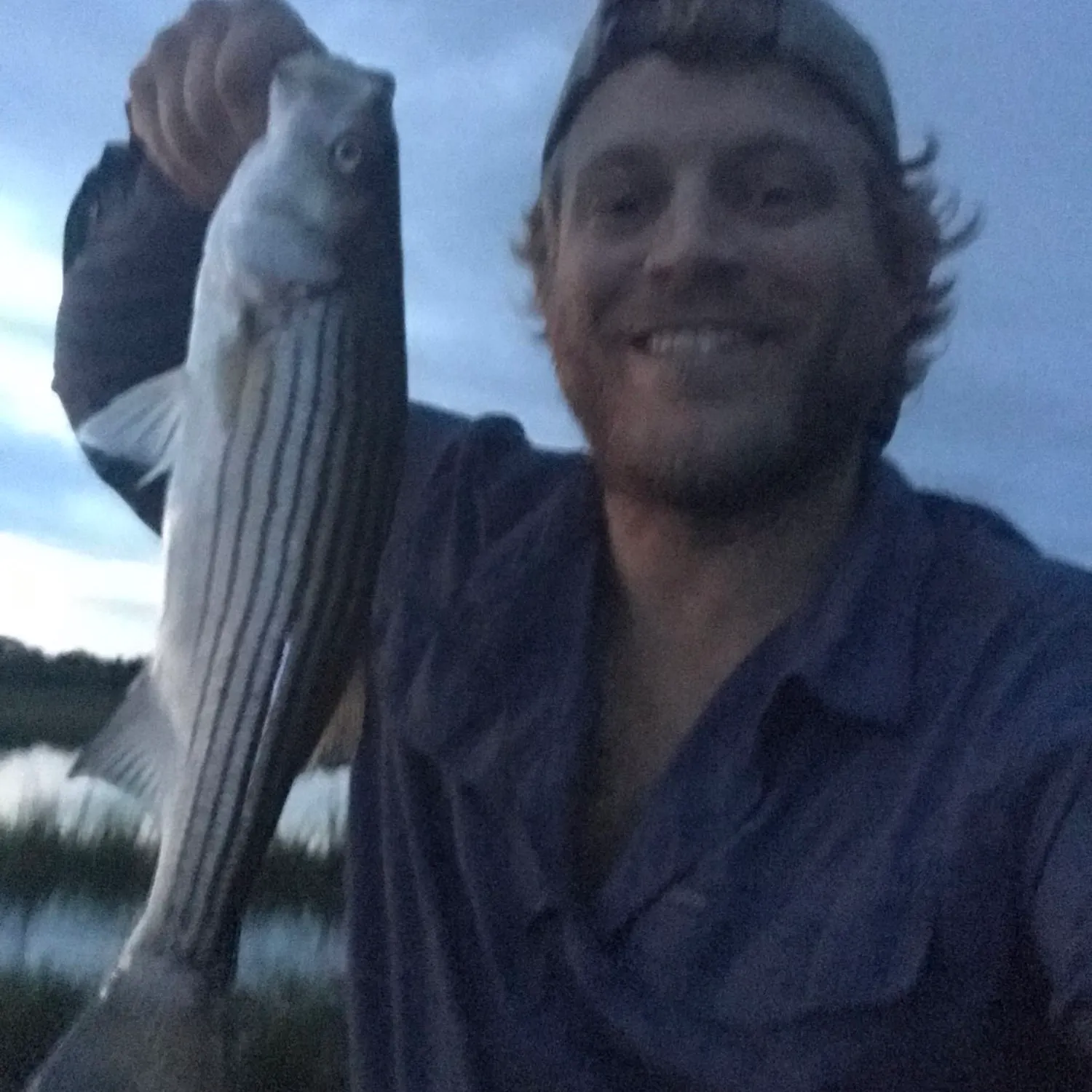 Striped bass caught on Fishbrain