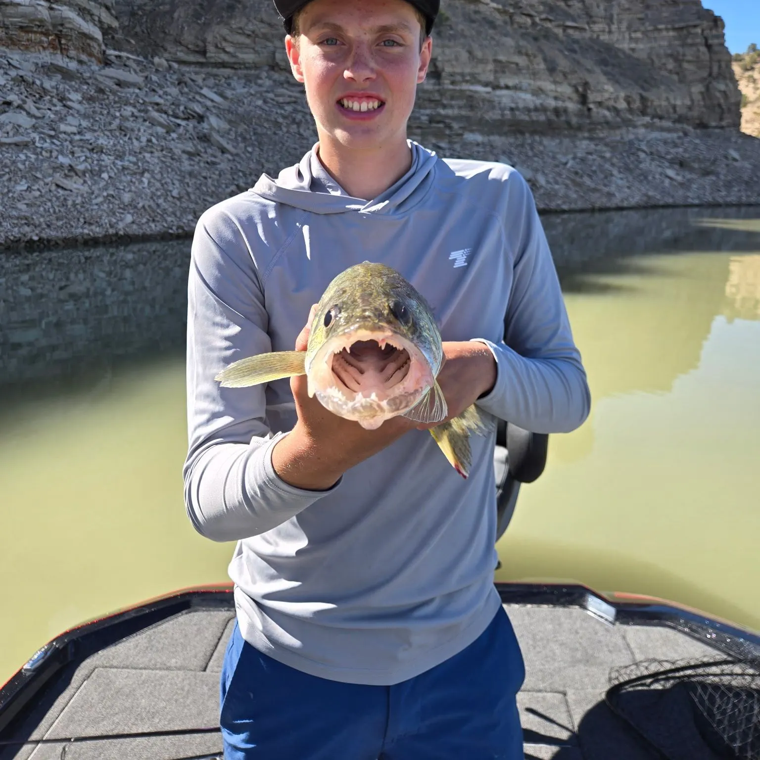 Walleye caught on Fishbrain