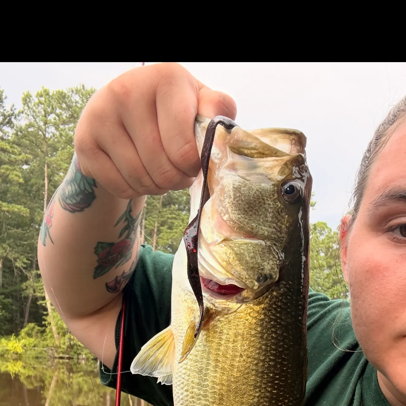 Largemouth bass caught on Fishbrain