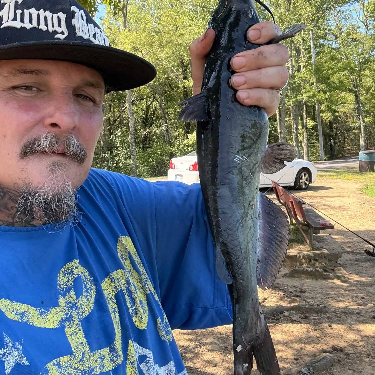 Channel catfish caught on Fishbrain
