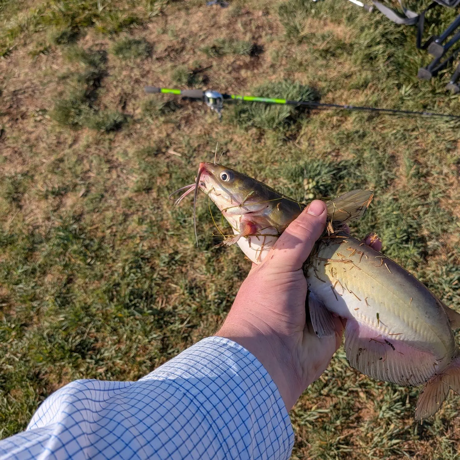 catch