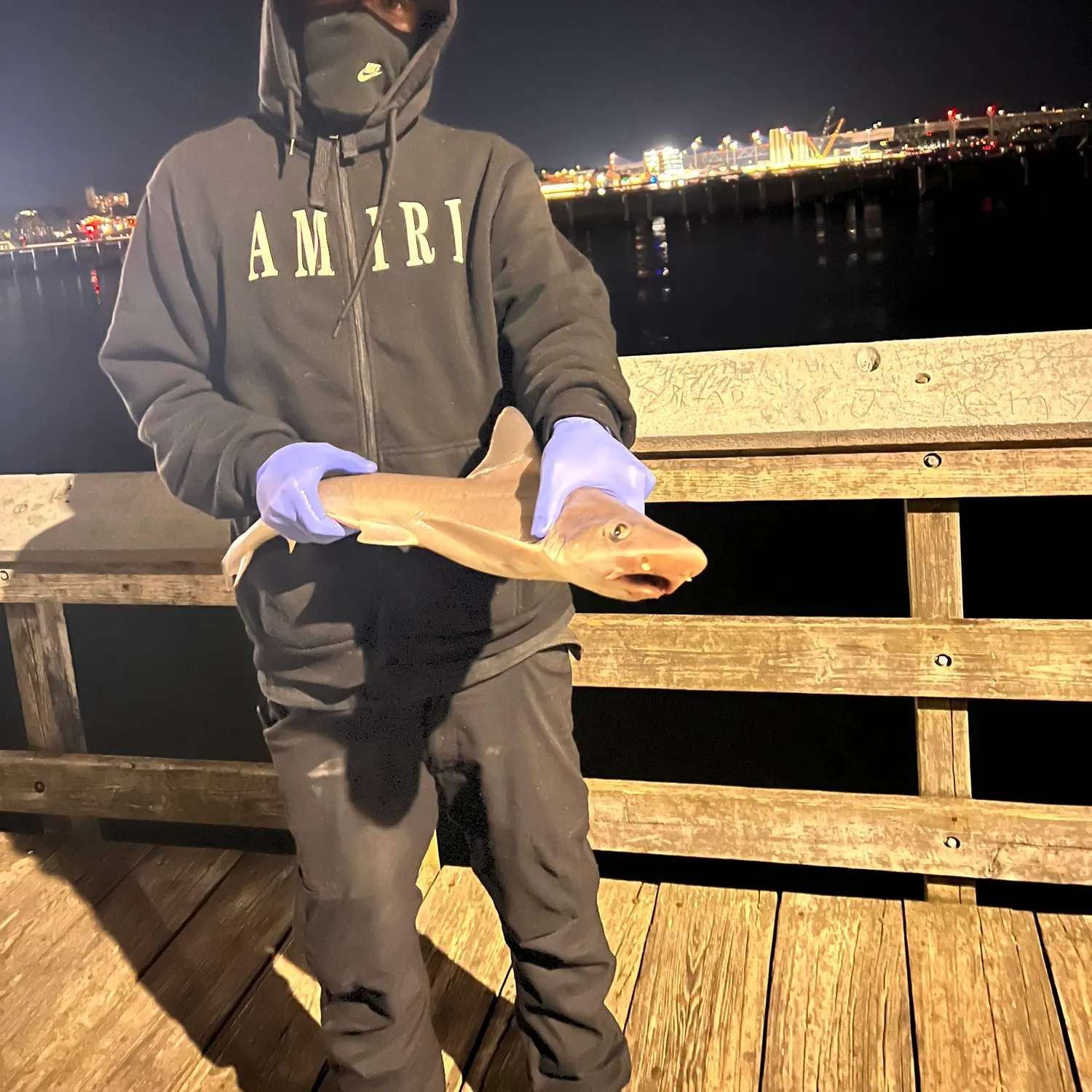 Dusky smooth-hound caught on Fishbrain