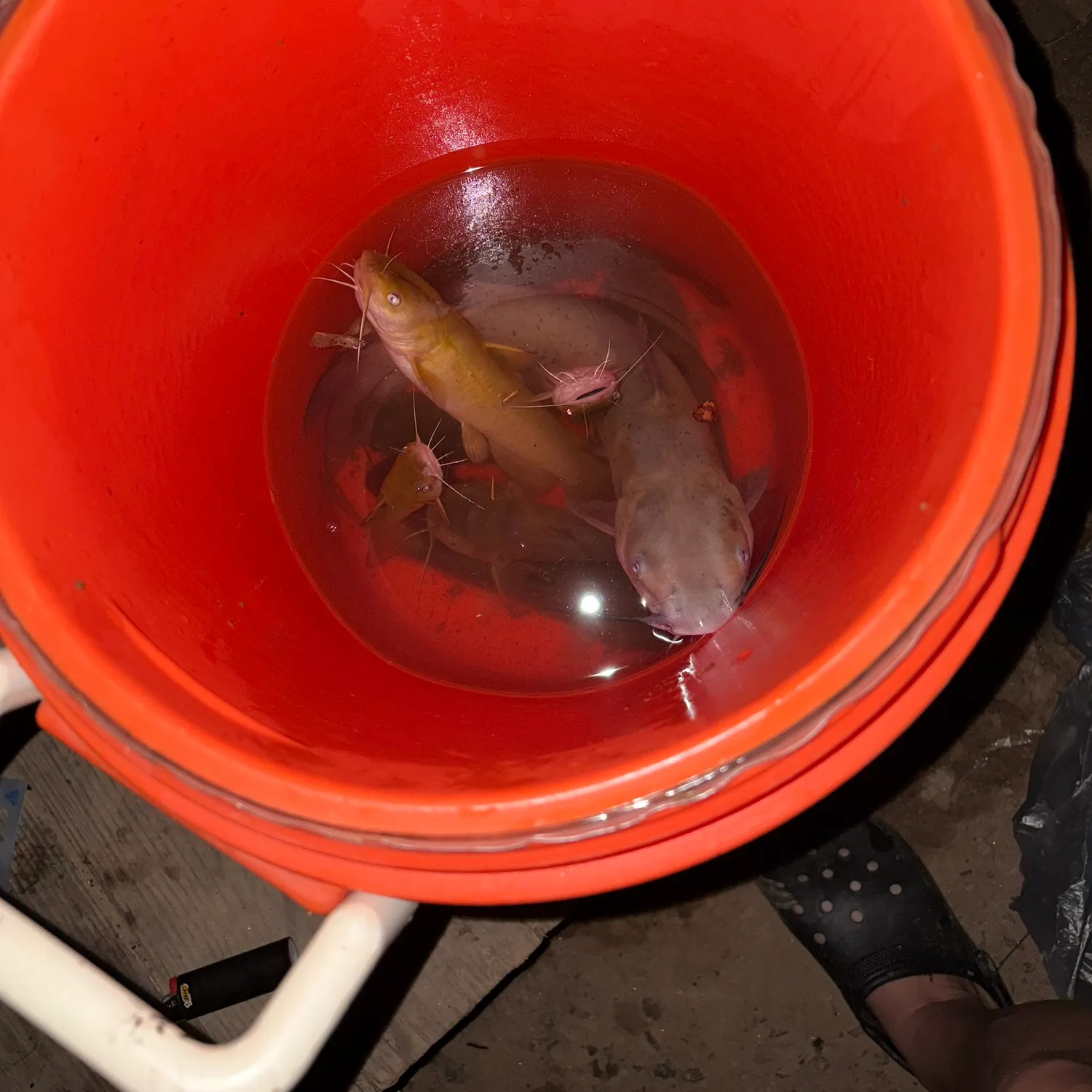 catch