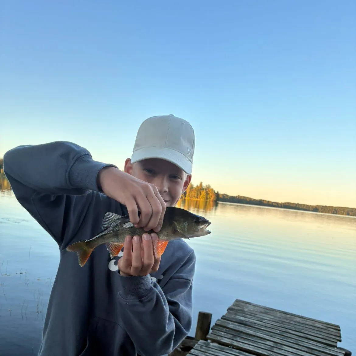 European perch caught on Fishbrain