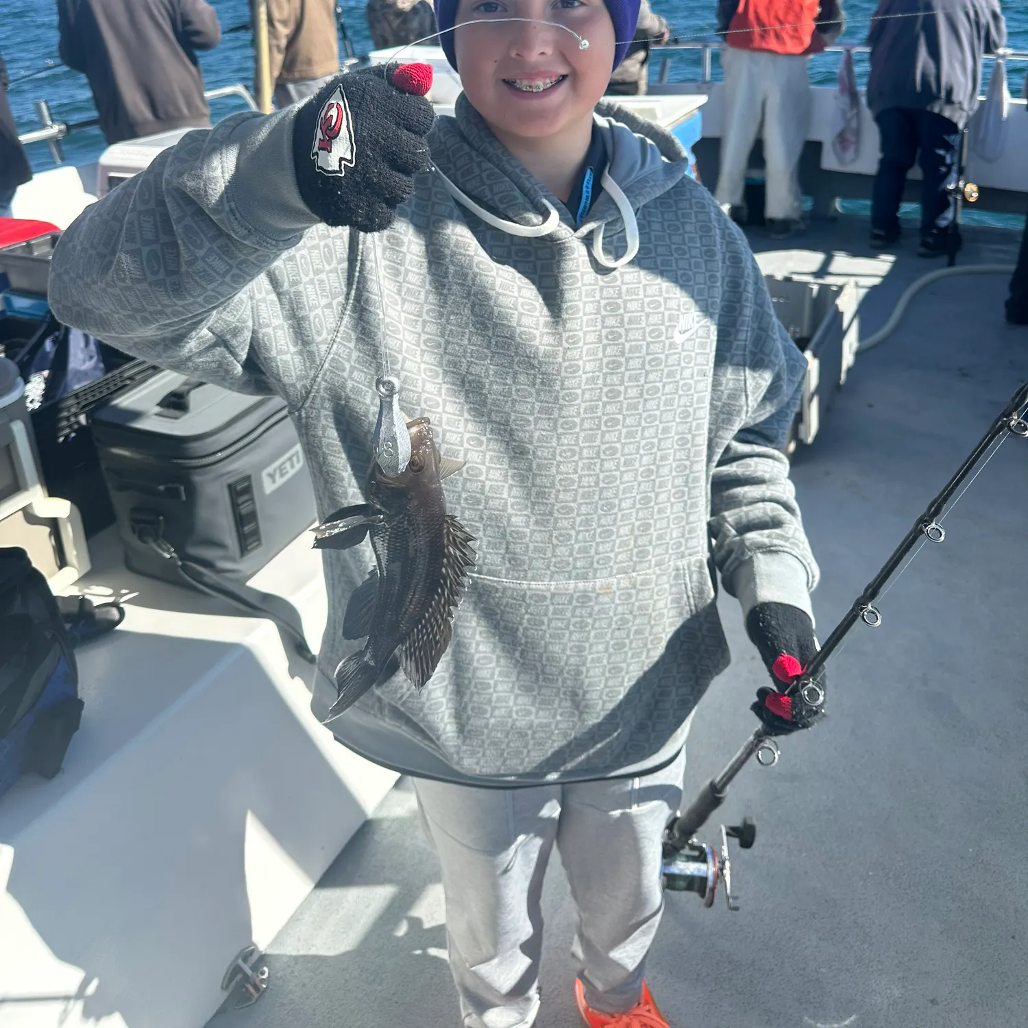 The most recent Black sea bass catches on Fishbrain