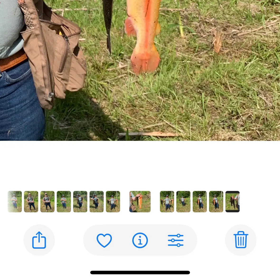 recently logged catches