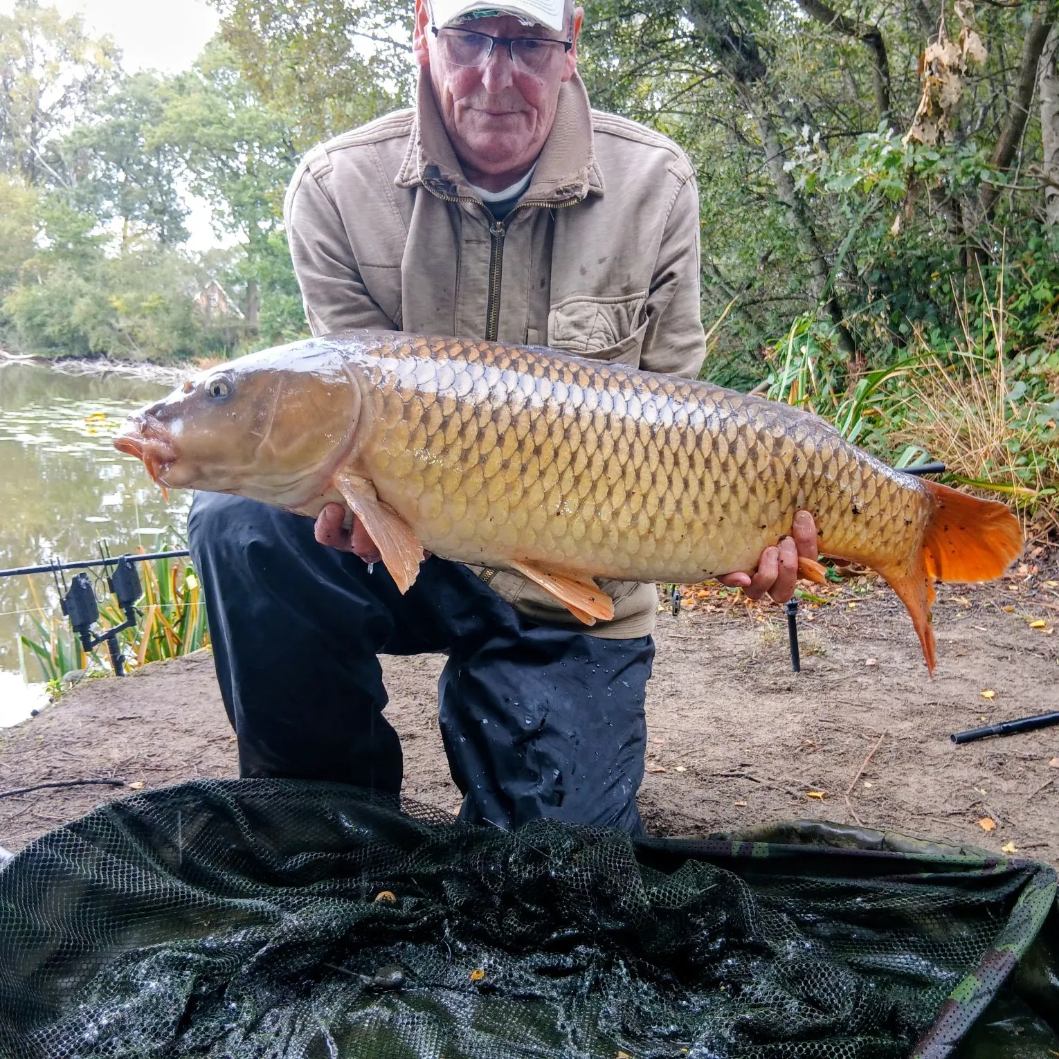 Common carp caught on Fishbrain