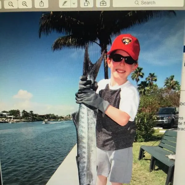 The most recent Great barracuda catches on Fishbrain